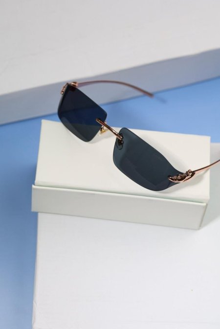 Carter راس الاسد